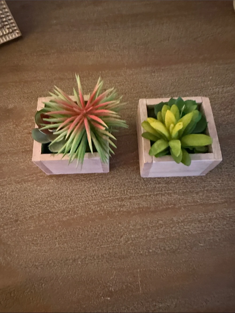 Artificial Succulent Duo in Wooden Planters - Green & Coral Accent